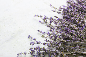 Fototapeta premium Beautiful lavender flowers on light background, closeup