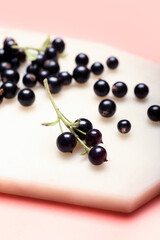 Board with ripe black currant on color background, closeup