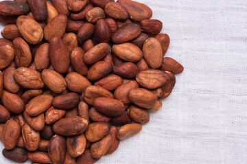 cocoa seeds over a white blanket