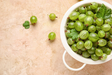 Colander with fresh ripe gooseberry on color background