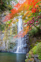 Fototapeta na wymiar 箕面大滝と紅葉 