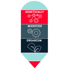 GMO - Genetically Modified Organism acronym. business concept background.  vector illustration concept with keywords and icons. lettering illustration with icons for web banner, flyer, landing 