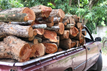 Piled of wood logs overlap  in old red pickup truck  , Transportation background