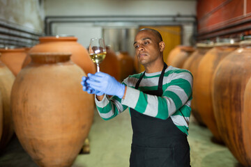 Confident Hispanic vintner in black apron examining wine in glass in workshop of winery ..