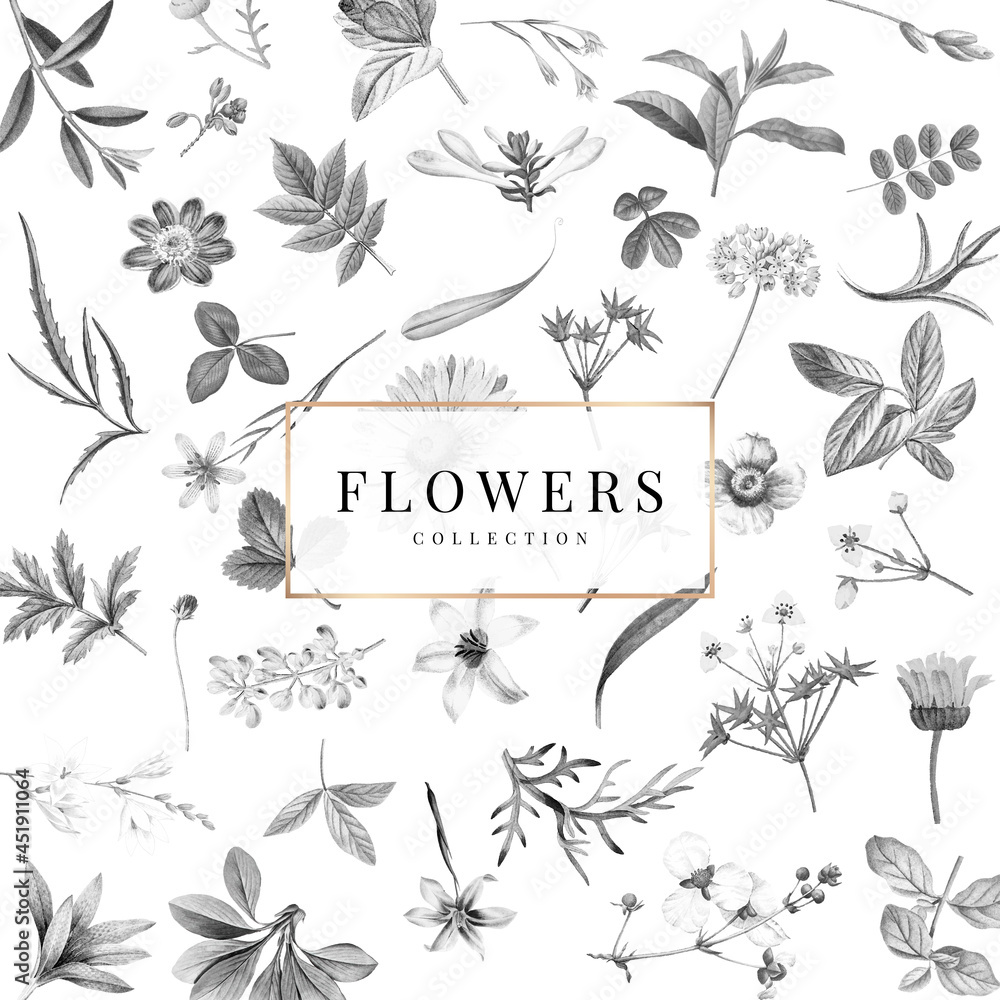 Poster flowers collection on a white background vector