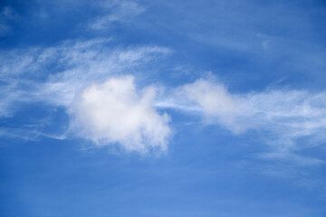 Fototapeta na wymiar The blue sky and white clouds floated like cotton wool.