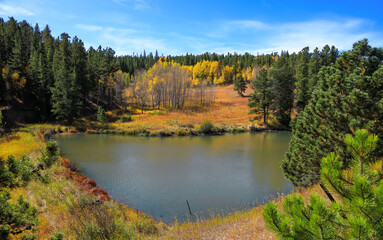 Fototapeta na wymiar Scenic landscape of colorful Aspen trees by the small pond during autumn time