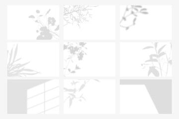 Botanical shadow on white background template vector set