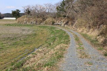 農地沿いに緩くカーブした未舗装道路がある風景