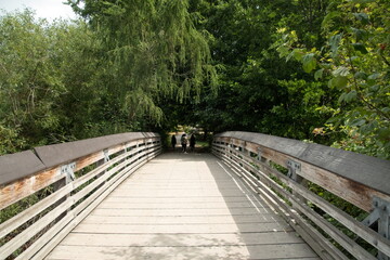 Group of women  behind the bridge on  Foster Point trail
