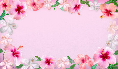 Obraz na płótnie Canvas Beautiful tropical flowers, Hibiscus flowers and leave border or frame on pink paper background.with copy space