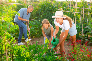 Family working in kitchen garden. Mother digging with trowel, daughter watering and father digging in background.