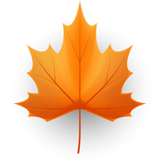 autumn leaves icon vector on white background