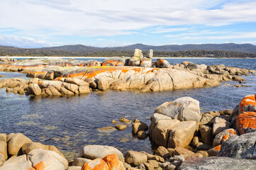 Granite boulders draped in orange lichen - Binalong Bay, Tasmania, Australia