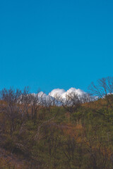 Clouds behind grass