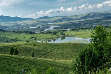 green trees and river in a mountain valley