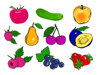 Colored stickers icons of fruits, vegetables, berries for home canning on a white isolated background.