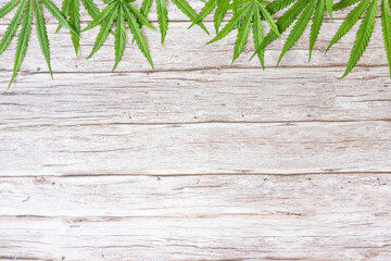 Cannabis leaves on wood table.Marijuana green leaf background. Top view, flat lay.Template or mock up.