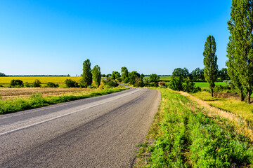 New asphalt road with the white dividing strip