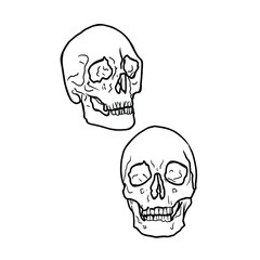 Isolated vector illustration of a skullcap, human skull. Bones blank for designers, Halloween, mysticism, witches