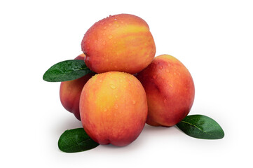 A bunch of ripe red-yellow nectarines with green leaves in water droplets