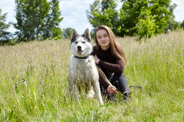 Owner girl playing with her siberian husky at field. Happy smiling woman with dog have a good time on weekend activity outdoors