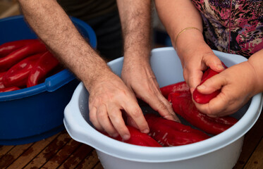 Mother and adult son drying red peppers together, a traditional Spanish Mediterranean cuisine