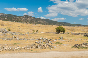 A Lonely Tree Completing a Beautiful Mountain Landscape at Pamukkale, Turkey