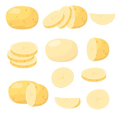 A set of raw potatoes on a white background. Whole and sliced vegetable.