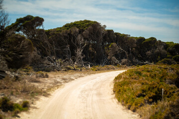 クオッカで有名なオーストラリア・パースのロットネスト島を観光している風景 A view of sightseeing on Rottnest Island in Perth, Australia, famous for its quokka.