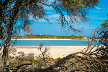 クオッカで有名なオーストラリア・パースのロットネスト島を観光している風景 A view of sightseeing on Rottnest Island in Perth, Australia, famous for its quokka.