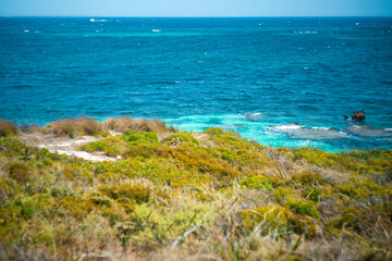 クオッカで有名なオーストラリア・パースのロットネスト島を観光している風景 A view of sightseeing on Rottnest Island in Perth, Australia, famous for its quokka.