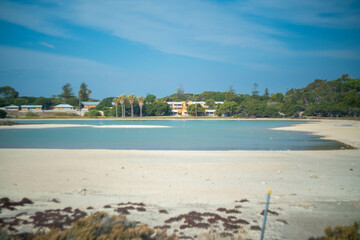 クオッカで有名なオーストラリア・パースのロットネスト島を観光している風景 A view of sightseeing on Rottnest Island in Perth, Australia, famous for its quokka.