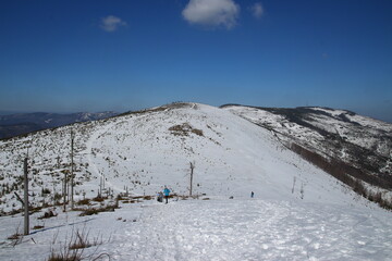 Winter scenery of mountain peaks and tall trees
