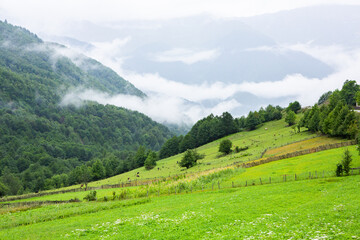 Obraz premium A beautiful landscape photography with Caucasus Mountains in Georgia.