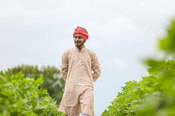 Young indian farmer standing at agriculture field.