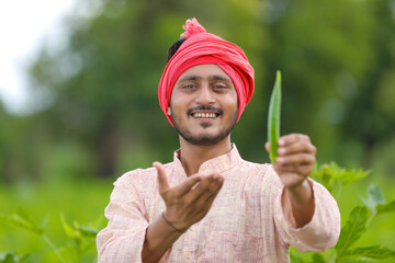 Indian farmer standing and holding ladyfinger in hand at agriculture field.