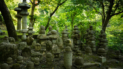 Obraz premium Japan tourism Asia temple garden water forest