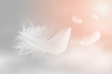 Soft Lightly White Feathers Floating in The Sky. Abstract Feather Flying in Heavenly Concept. 	