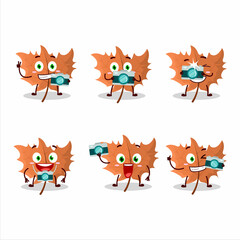 Fototapeta premium Photographer profession emoticon with maple Leaf cartoon character