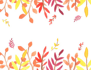 Colorful autumn leaves on top and bottom on white background