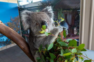 オーストラリア・パースの観光名所を旅行している風景 Scenes from a trip to a tourist attraction in Perth, Australia.
