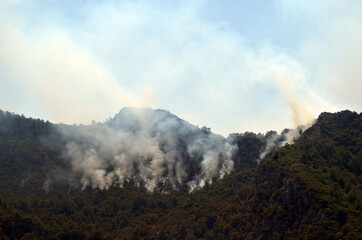 Wildfire in the forest near a resort town Icmeler, Turkey. Summer 2021