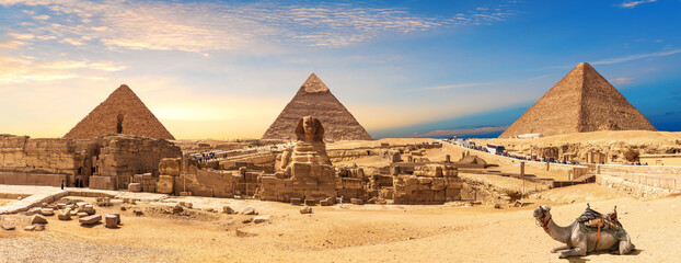 Giza Pyramids and Sphinx panorama with a camel lying by, Cairo, Egypt - obrazy, fototapety, plakaty