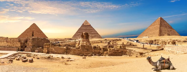 Tuinposter Giza Pyramids and Sphinx panorama with a camel lying by, Cairo, Egypt © AlexAnton