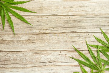 Cannabis leaves on wood table.Marijuana green leaf background. Top view, flat lay.Template or mock...