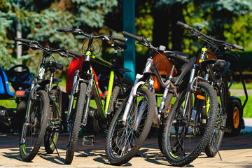 Fototapeta na wymiar Bicycle rental in the city recreation park.