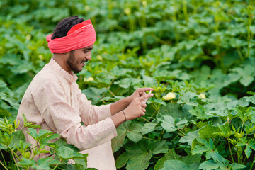 Indian farmer using smartphone at agriculture field.