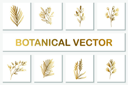 Collection gold flower and leaves element line art illustration