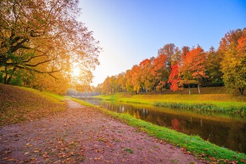 Obraz premium The alley of the autumn park . The season is autumn. September, October, November. A new season. Yellow leaves. A beautiful park. Morning light. . Nature